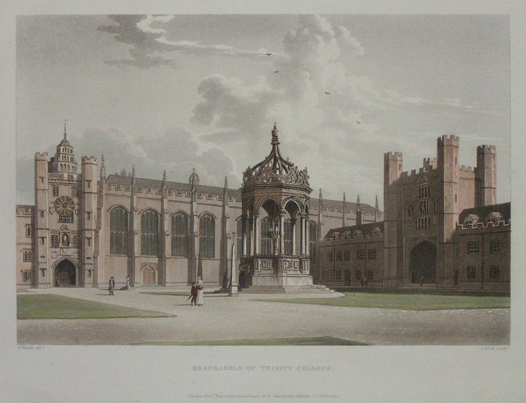 Aquatint - Quadrangle of Trinity College. - Bluck